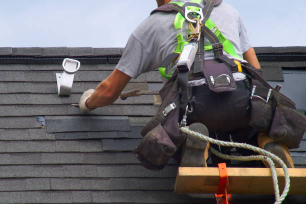 Best Roof Gutter Cleaning  in West Van Lear, KY