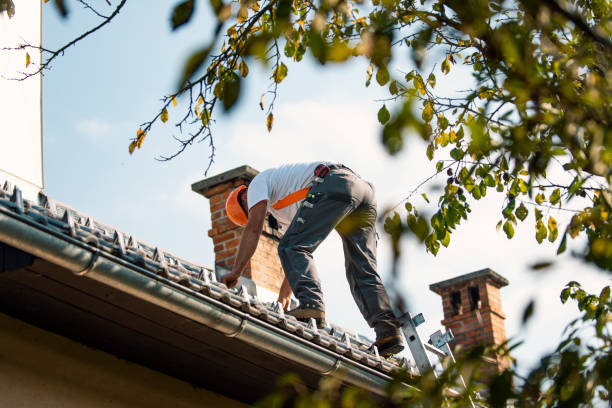 Best New Roof Installation  in West Van Lear, KY