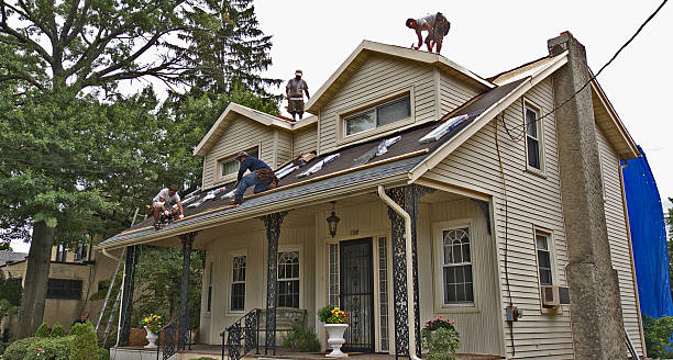 Best Best Roofing Contractors  in West Van Lear, KY